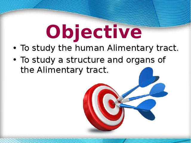 Objective To study the human Alimentary tract. To study a structure and organs of the Alimentary tract. 