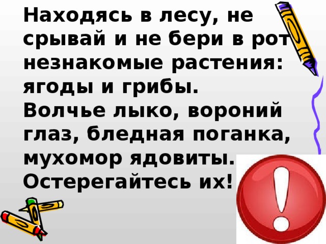 Находясь в лесу, не срывай и не бери в рот незнакомые растения: ягоды и грибы. Волчье лыко, вороний глаз, бледная поганка, мухомор ядовиты. Остерегайтесь их! 