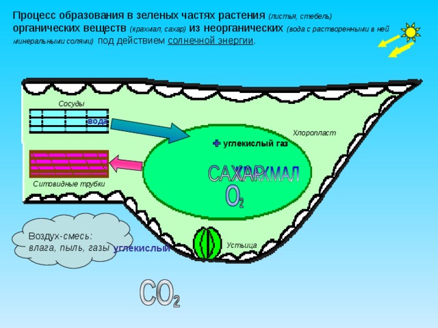 (листья, стебель)  (крахмал, сахар) (вода с растворенными в ней минеральными солями)  под действием солнечной энергии . Сосуды вода Хлоропласт углекислый газ Ситовидные трубки  Воздух- смесь: влага, пыль, газы Устьица углекислый 