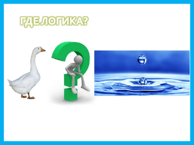 Как с гуся вода  