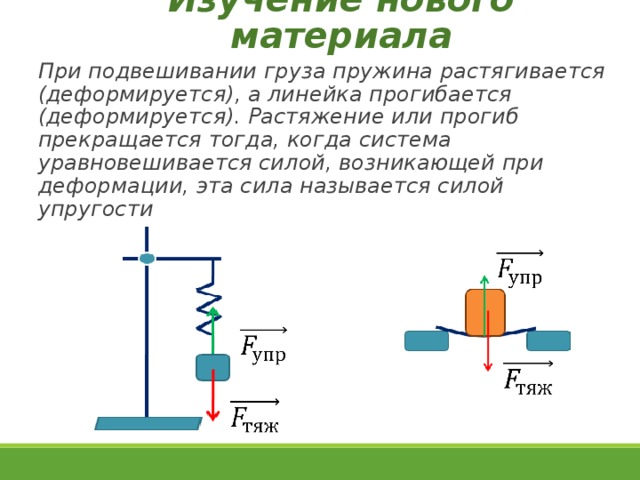 Изучение нового материала При подвешивании груза пружина растягивается (деформируется), а линейка прогибается (деформируется). Растяжение или прогиб прекращается тогда, когда система уравновешивается силой, возникающей при деформации, эта сила называется силой упругости 