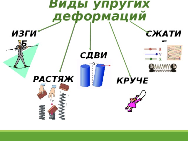 Виды упругих деформаций СЖАТИЕ ИЗГИБ СДВИГ РАСТЯЖЕНИЕ КРУЧЕНИЕ 