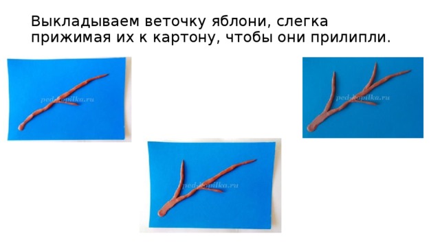 Выкладываем веточку яблони, слегка прижимая их к картону, чтобы они прилипли. 