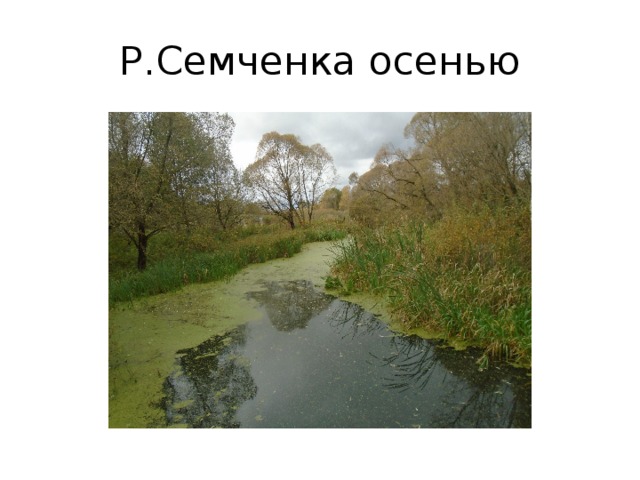 Р.Семченка осенью 