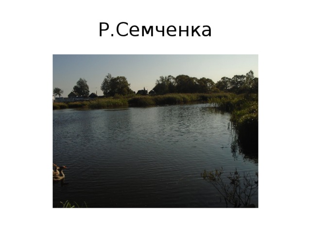 Р.Семченка 