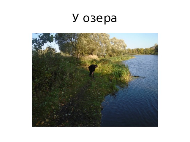 У озера 