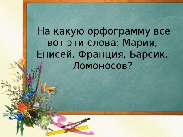 На какую орфограмму все вот эти слова: Мария, Енисей, Франция, Барсик, Ломоносов?    