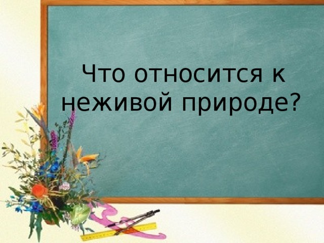  Что относится к неживой природе?    