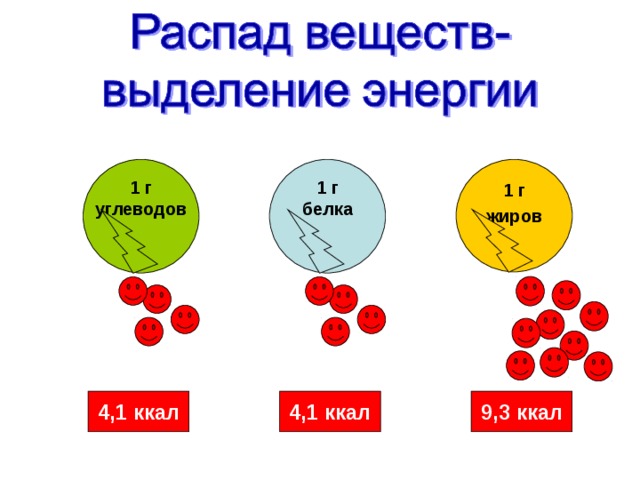 1 г жиров 1 г углеводов 1 г белка 4,1 ккал 9,3 ккал 4,1 ккал 