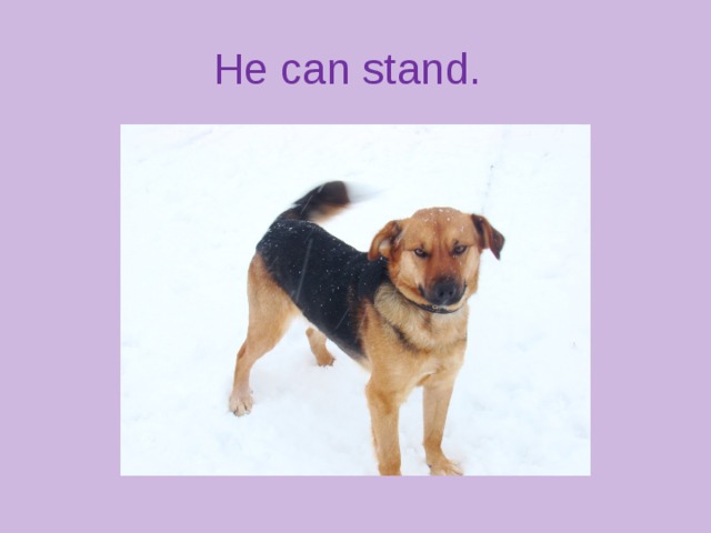 He can stand.
