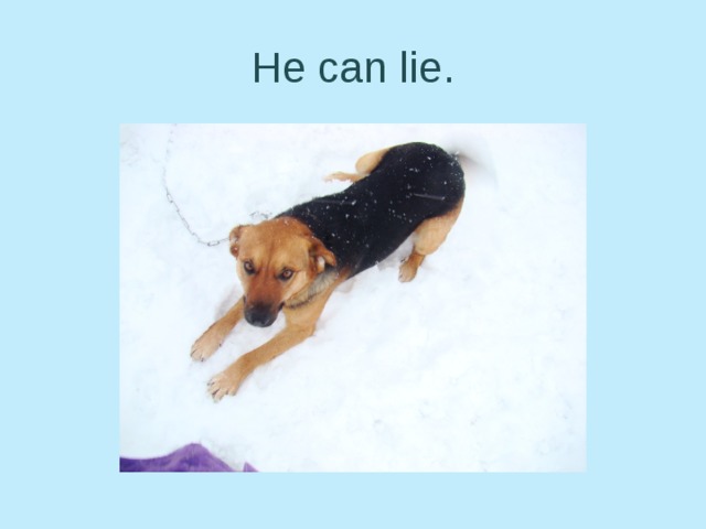 He can lie.