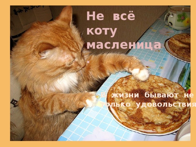 Не всё коту масленица. В жизни бывают не только удовольствия 