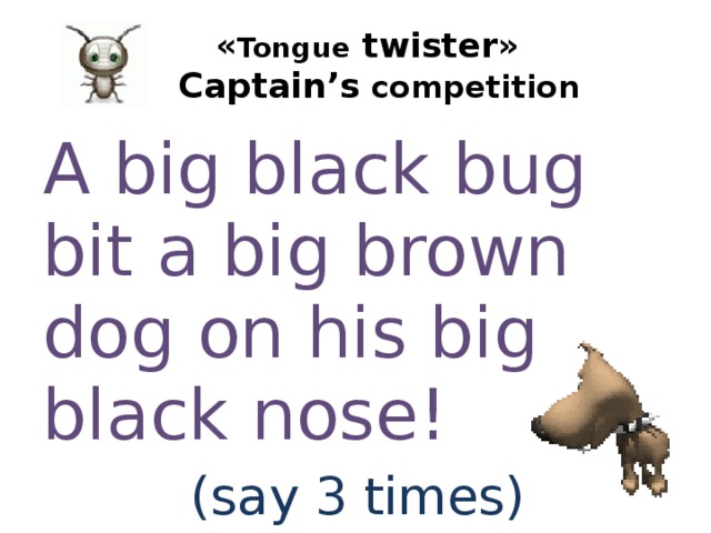  « Tongue twister»   Captain’s competition A big black bug bit a big brown dog on his big black nose! (say 3 times) 