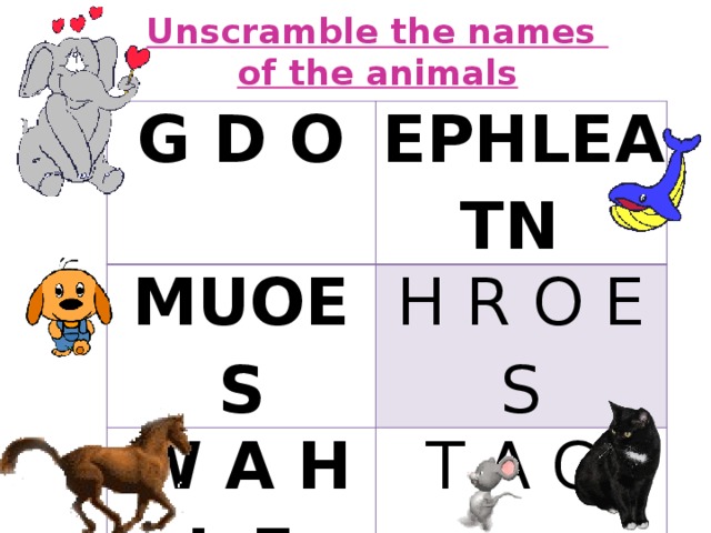 Unscramble the names  of the animals G D O EPHLEATN MUOES H R O E S W A H L E T A C 