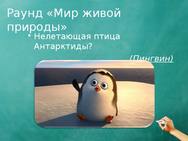 Раунд «Мир живой природы» Нелетающая птица Антарктиды?  (Пингвин) 
