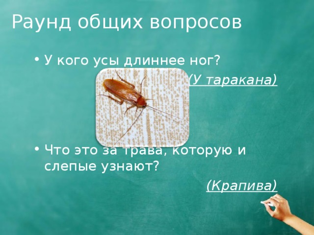 Раунд общих вопросов У кого усы длиннее ног? (У таракана) Что это за трава, которую и слепые узнают? (Крапива)  