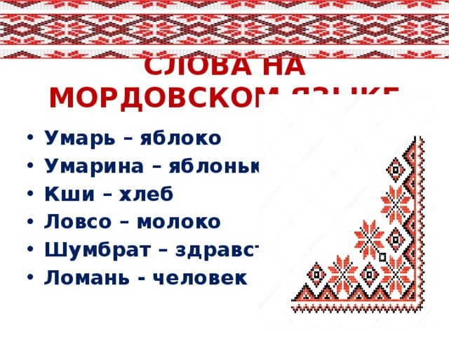 СЛОВА НА МОРДОВСКОМ ЯЗЫКЕ Умарь – яблоко Умарина – яблонька Кши – хлеб Ловсо – молоко Шумбрат – здравствуйте Ломань - человек 