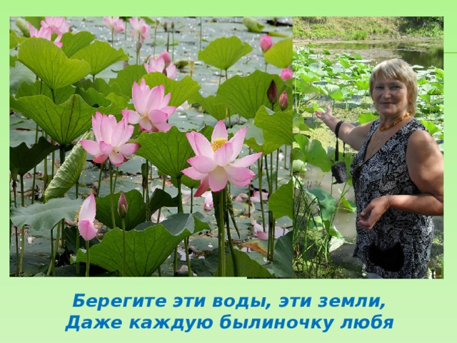 Берегите эти воды, эти земли, Даже каждую былиночку любя 