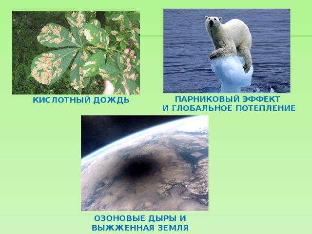ПАРНИКОВЫЙ ЭФФЕКТ И ГЛОБАЛЬНОЕ ПОТЕПЛЕНИЕ КИСЛОТНЫЙ ДОЖДЬ ОЗОНОВЫЕ ДЫРЫ И ВЫЖЖЕННАЯ ЗЕМЛЯ  