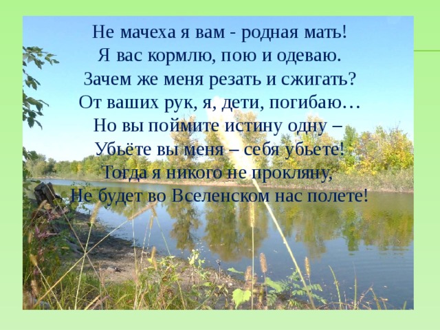 Не мачеха я вам - родная мать! Я вас кормлю, пою и одеваю. Зачем же меня резать и сжигать? От ваших рук, я, дети, погибаю… Но вы поймите истину одну – Убьёте вы меня – себя убьете! Тогда я никого не прокляну, Не будет во Вселенском нас полете! 