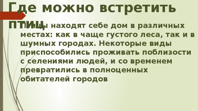 Где можно встретить птиц   Птицы находят себе дом в различных местах: как в чаще густого леса, так и в шумных городах. Некоторые виды приспособились проживать поблизости с селениями людей, и со временем превратились в полноценных обитателей городов 