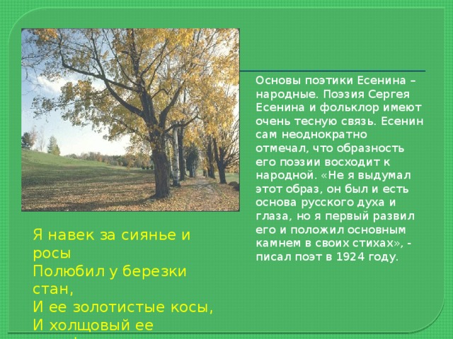 Основы поэтики Есенина – народные. Поэзия Сергея Есенина и фольклор имеют очень тесную связь. Есенин сам неоднократно отмечал, что образность его поэзии восходит к народной. «Не я выдумал этот образ, он был и есть основа русского духа и глаза, но я первый развил его и положил основным камнем в своих стихах», - писал поэт в 1924 году. Я навек за сиянье и росы Полюбил у березки стан, И ее золотистые косы, И холщовый ее сарафан... 