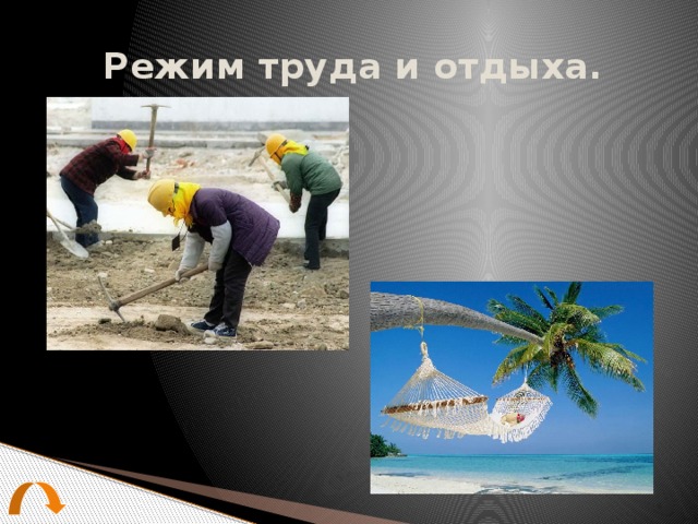 Режим труда и отдыха. 