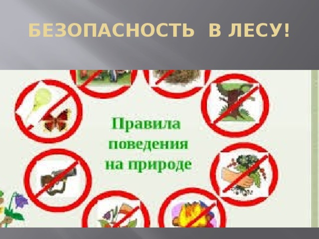 БЕЗОПАСНОСТЬ В ЛЕСУ! 