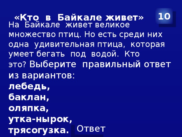  «Кто в Байкале живет» 10 На Байкале живет великое множество птиц. Но есть среди них одна удивительная птица, которая умеет бегать под водой. Кто это? Выберите правильный ответ из вариантов: лебедь, баклан, оляпка, утка-нырок, трясогузка. 