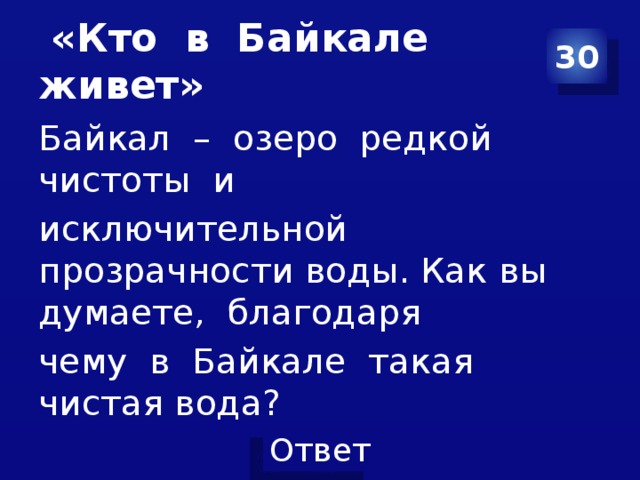  «Кто в Байкале живет» 30 Байкал – озеро редкой чистоты и исключительной прозрачности воды. Как вы думаете, благодаря чему в Байкале такая чистая вода? 