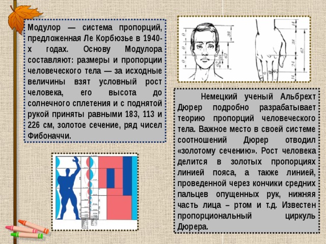 Модулор — система пропорций, предложенная Ле Корбюзье в 1940-х годах. Основу Модулора составляют: размеры и пропорции человеческого тела — за исходные величины взят условный рост человека, его высота до солнечного сплетения и с поднятой рукой приняты равными 183, 113 и 226 см, золотое сечение, ряд чисел Фибоначчи.  Немецкий ученый Альбрехт Дюрер подробно разрабатывает теорию пропорций человеческого тела. Важное место в своей системе соотношений Дюрер отводил «золотому сечению». Рост человека делится в золотых пропорциях линией пояса, а также линией, проведенной через кончики средних пальцев опущенных рук, нижняя часть лица – ртом и т.д. Известен пропорциональный циркуль Дюрера. 