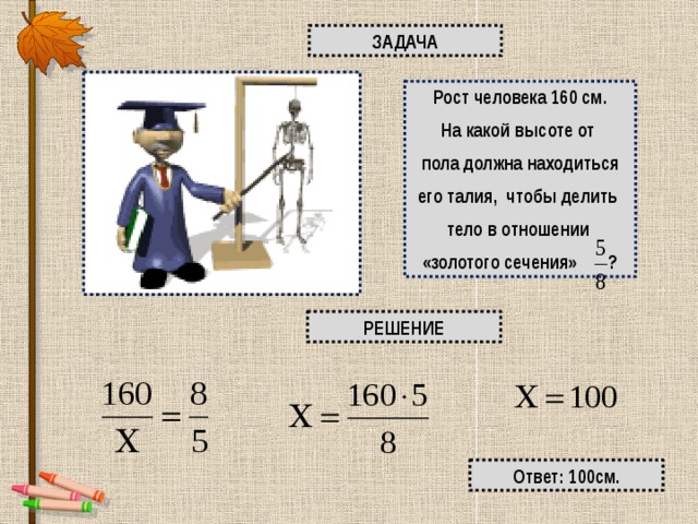 ЗАДАЧА Рост человека 160 см. На какой высоте от пола должна находиться его талия, чтобы делить тело в отношении «золотого сечения» ? РЕШЕНИЕ Ответ: 100см. 