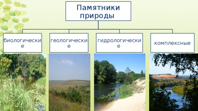 Памятники природы биологические геологические гидрологические комплексные 
