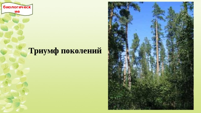 биологические Триумф поколений 