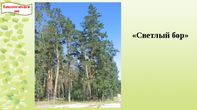 биологические «Светлый бор» 