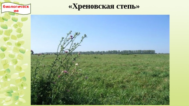 «Хреновская степь» биологические 