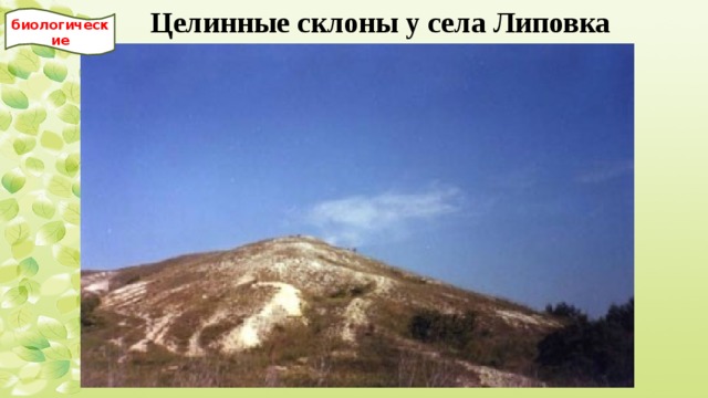 Целинные склоны у села Липовка биологические 