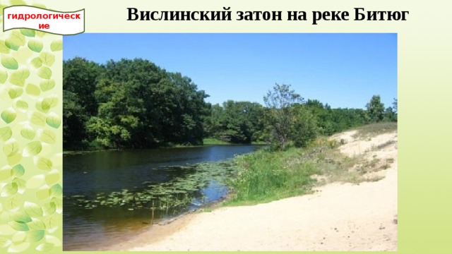 Вислинский затон на реке Битюг гидрологические 