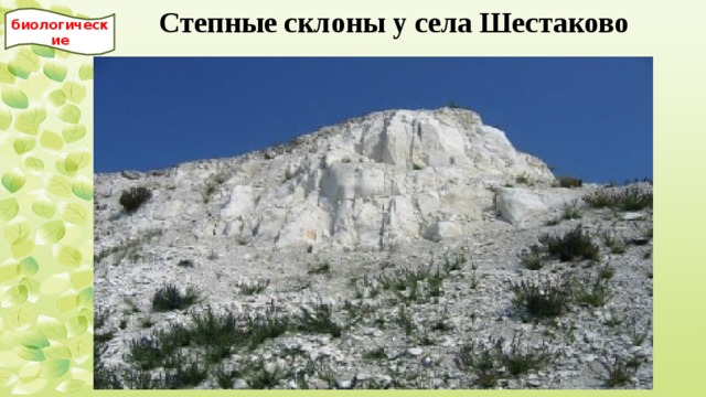 Степные склоны у села Шестаково  биологические 
