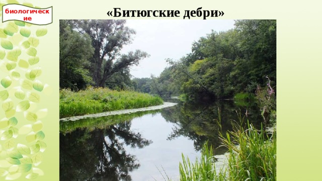 «Битюгские дебри» биологические 
