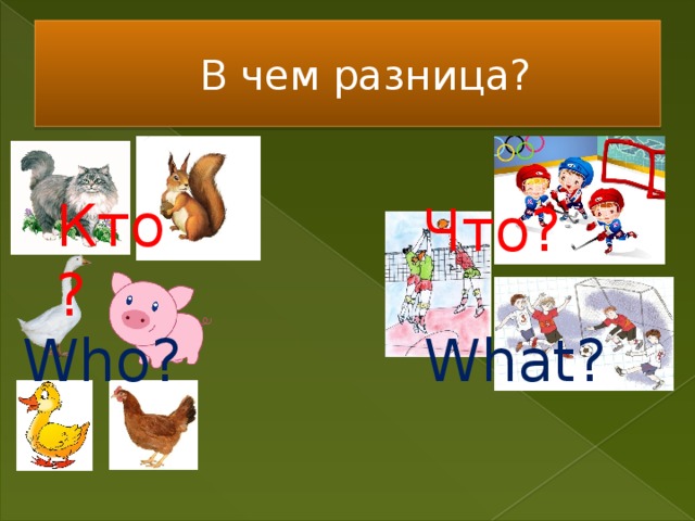 В чем разница? Кто? Что? Who? What? 