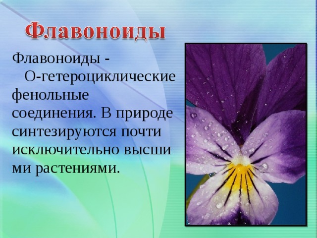 Флавоноиды  -   O-гетероциклические фенольные  соединения. В природе синтезируются почти исключительно высшими растениями. 