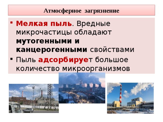 Атмосферное загрязнение Мелкая пыль . Вредные микрочастицы обладают мутогенными и канцерогенными свойствами Пыль адсорбируе т большое количество микроорганизмов 