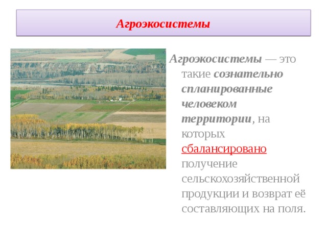 Агроэкосистемы Агроэкосистемы  —  это такие сознательно спланированные человеком территории , на которых сбалансировано получение сельскохозяйственной продукции и возврат её составляющих на поля. 