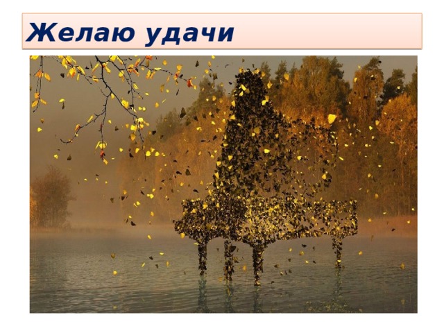 Желаю удачи 
