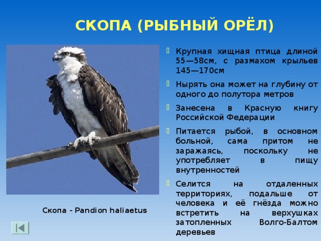 НИЛО-СОРСКАЯ ПУСТЫНЬ Расположена в 15км к западу от Кириллова  Основана в 1480-е годы Нилом Сорским  В настоящее время архитектурный ансамбль в значительной степени утрачен  Сейчас в Нило-Сорской пустыни находится медицинское учреждение. Нило-Сорская пустынь  Покровский храм 