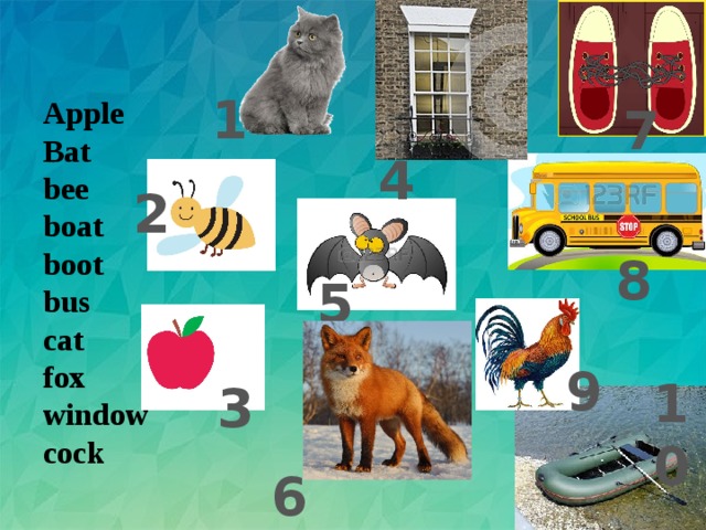 1 Apple Bat bee boat boot bus cat fox window cock 7 4 2 8 5 9 10 3 6