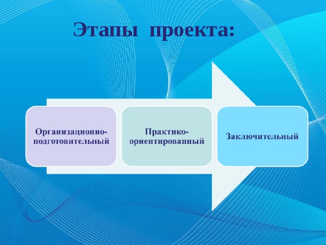 Этапы проекта: 