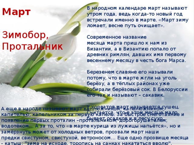 В народном календаре март называют утром года, ведь когда-то новый год встречали именно в марте. «Март зиму ломает, весне путь очищает».   Современное название месяца марта пришло к нам из Византии, а в Византию попало от древних римлян, давших имя первому весеннему месяцу в честь бога Марса.    Березенем славяне его называли потому, что в марте жгли на уголь берёзу, а в тёплых районах уже собирали берёзовый сок. В Белоруссии его так и называют – сакавик.    У хорватов март называется сушец. Считается, что в этом месяце мало бывает осадков и в лесу сухо…    Март  Зимобор, Протальник А еще в народе называют март каплюжником, капелюжником, капителью, капельником за первую капель. За быстрое снеготаяние и появление первых проталин –протальником, дорогорушителем, водотёком… А за то, что «в марте курица из лужицы напьётся», но и замёрзнуть может от холодных ветров, прозвали март наши предки свистуном, свистухой, ветроносом… Еще одно прозвище месяца - катыш: 
