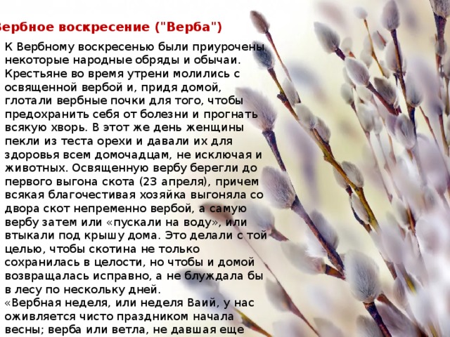 Вербное воскресение (